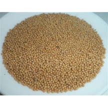 Hardal Tohumu Sarı 1 KG