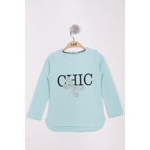 Mint Yeşili