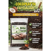 5l Bitki Toprağı Cocpeat, Torf Ve Perlit Karışımlı Böcek Yapmayan Özel Karışım