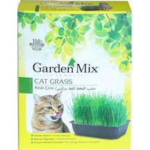 Garden Mix Naturel Kedi Çimi 13 x 18 CM