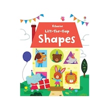 Lift The Flap Shapes 9781409582519