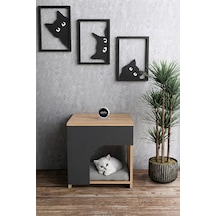 Ahşap Kedi Evi Kapalı Kedi Yatağı Yuvası Dekoratif Modern Komodin Yan Sehpa Tasarımlı Kedi Evi