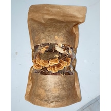 Şifa Hindikuyruğu Coriolus Versicolor 80 G