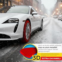 Matte Kar Çorabı Active Series Large