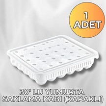 Çok Renkli