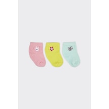 Panço Kız Bebek Nakışlı Soket Çorap Seti Renkli 2412GB11001