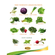 Sebze Tohumu - Karışık Sebze Yetiştirme Paketi - 2 1 Adet