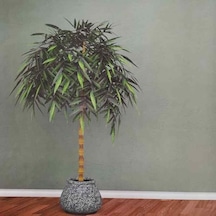 Ankawall Picasso Boyanabilir Duvar Kağıdı 742205 26.5m2