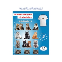 Ütü İle Yapışan Kıyafet Etiketi Kediler -2 12li Set Karışık