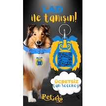 Petjoo 23.Lad Sarı-Mavi Qr'lı Köpek Künyesi