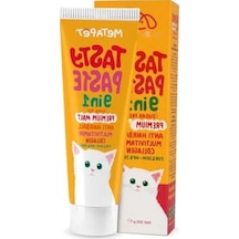 100ml 9in1 Multivitamin Macunu - Kedi Sağlığı Destekleyici