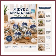 Deniz