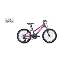 Carraro 20 Carraro Force 201 250h 21-v Vb Mat Mürdüm-pembe R1 Mürdüm