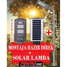 Güneş Enerjili Bahçe Aydınlatma Direği+40W Solar Sokak Lambası