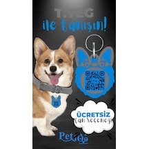 Petjoo 15.T.Teg Mavi-Gri Qr'lı Köpek Künyesi
