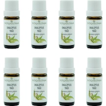 10 ML