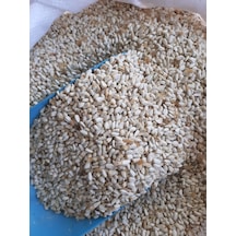 Mh Aspir Tohumu Güvercin Sultan Papağanı Yemi 4 KG