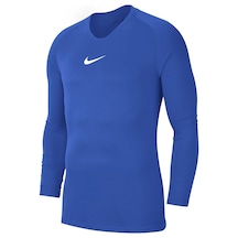 Nike Erkek Eşofman Üstü Park First Layer Jersey Av2609-463 (550534384)