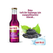 Karadut & Frenk Üzümü Soda 200 Ml 24 Lü