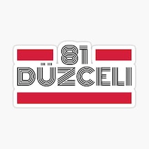 81 Düzceli Plaka Araba Sticker Yapıştırması