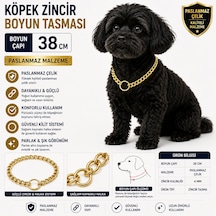 Köpek Zincir Boyun Tasması 38 Cm Paslanmaz Çelik 4 Mm Kalınlık - Altın Çok Renkli