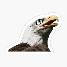 Araba Için Kartal Oto Sticker Yapıştırması Etiket 17Cm Aa2