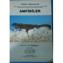 Amfibiler -türkiye Omurgalıları