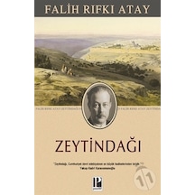 Zeytindağı/falih Rıfkı Atay