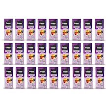 Cappy Karışık Meyve Nektarı 200 Ml X 27 Adet