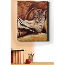 Webstyle Sayılarla Boyama Seti Kasnaklı Entel Kedi 50 X 65 Cm