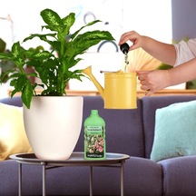 500 ML
