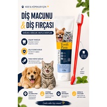 Kedi Ve Köpek Diş Macunu 100 Gr Çift Taraflı Diş Fırçası Ağız Bakım Seti