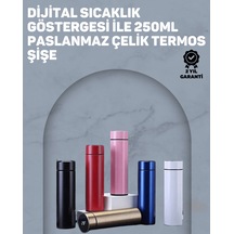 Çok Renkli