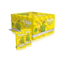Fizzy Gaga Taşı 1 Adet