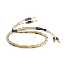 Qe1470 Reference Golden Anniversary Xt 2x2 Metre Hoparlör Kablosu
