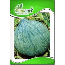 Hasanbey Kavun Tohumu 10 Gr
