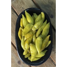 Turşuluk Balık Biberi Tohumu 10 Gr