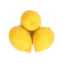 Tüplü Aşılı Lamas Limon 2 Yaş Boy 90-110 Cm N11.182