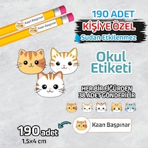 Çok Renkli