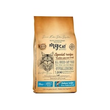 Mycat Az Tahıllı Skin Care Somon Balıklı Yetişkin Kedi Maması 10 KG