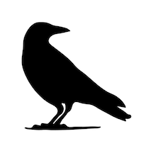 Karga Oto Sticker Siyah 25 X 25 Cm Aracınıza Yeni Bir Tarz Katın