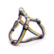 8113-H7L Köpek Göğüs Tasması 2,5 cm.x ön: 55-79 cm./arka:63-95 cm Çok Renkli