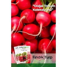 400 Adet Yerli Ata Fındık Turp Tohumu