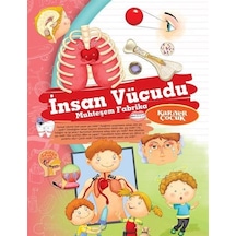 İnsan Vücudu Muhteşem Fabrika / Ne Nedir