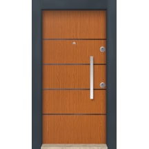 MONO ÇELİK KAPI  MN-6015 SOL Dış İklim Kapısı