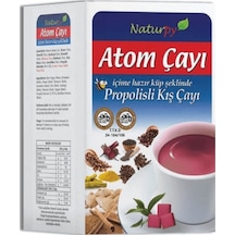 Naturpy Atom Propolisli Küp Kış Çayı 150 G