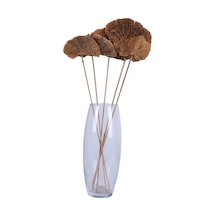 Yapay Çiçek Sitesi Kuru Çiçek Doğal Mushroom Mantar 50 Cm 5li Naturel
