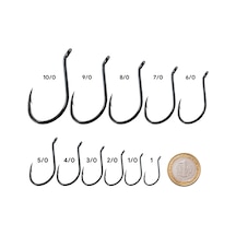 Shogun 9950 Octopus Beak İğne 4/0