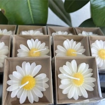 Bernamiofficial Offcial 24 Adet Papatya Mum Hediyelik Nişan, Nikah, Söz, Doğumgünü, Doğum