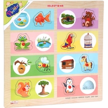 Ony-363-364 Ahşap Tutmalı Eşleştirme Hangi Hayvan Nerede Yaşar -